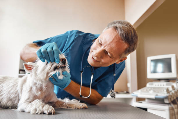 Best Tooth Pain Emergency Relief  in Newberry, FL