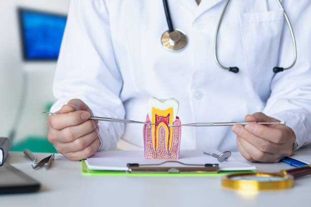 Best Tooth Pain Emergency Relief  in Newberry, FL